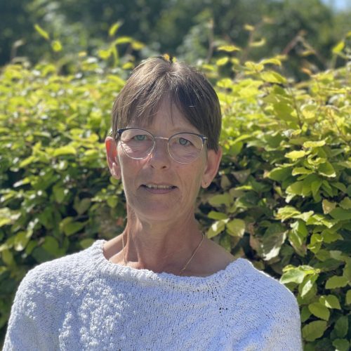 Billede - Helle